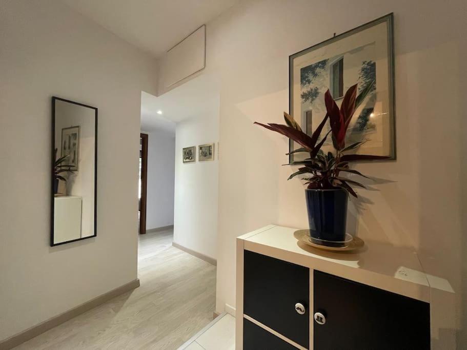Spacious And Bright Ρώμη Εξωτερικό φωτογραφία